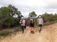 2018-11-12 14.05.51 (Grand)